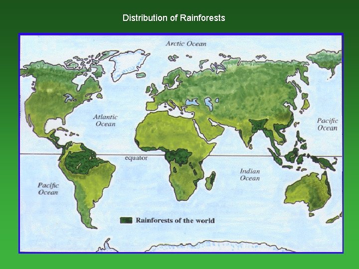 Distribution of Rainforests 