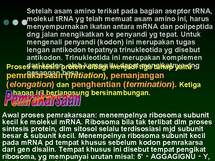 Setelah asam amino terikat pada bagian aseptor t. RNA, molekul t. RNA yg telah