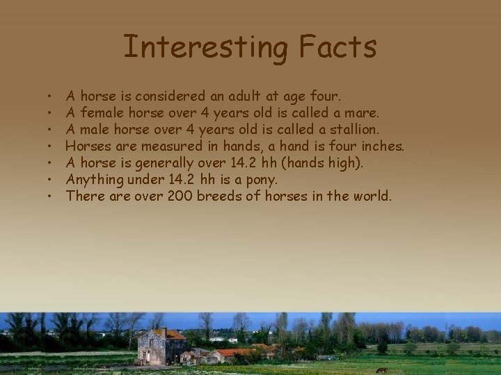 Interesting Facts • • A horse is considered an adult at age four. A
