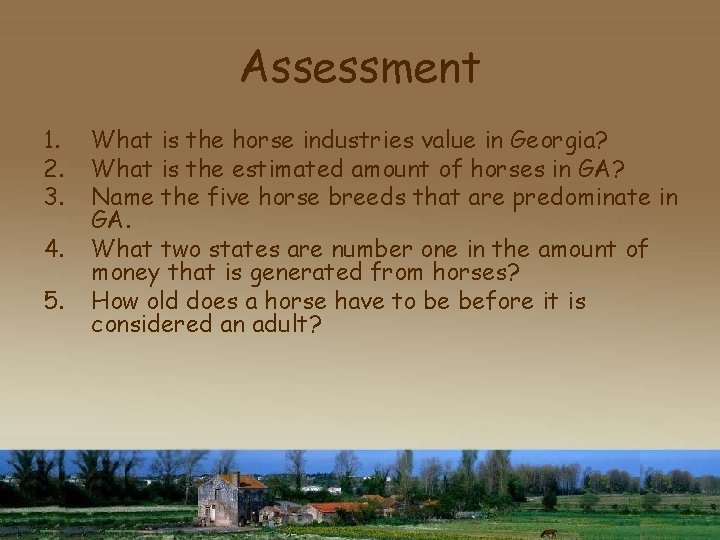 Assessment 1. 2. 3. 4. 5. What is the horse industries value in Georgia?