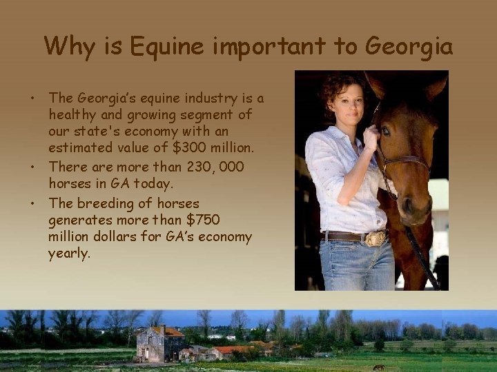 Why is Equine important to Georgia • The Georgia’s equine industry is a healthy