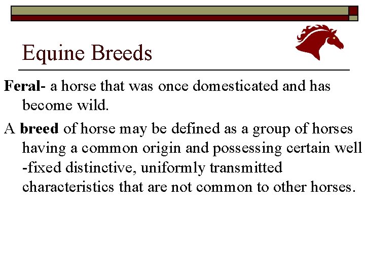 Equine Breeds Feral- a horse that was once domesticated and has become wild. A