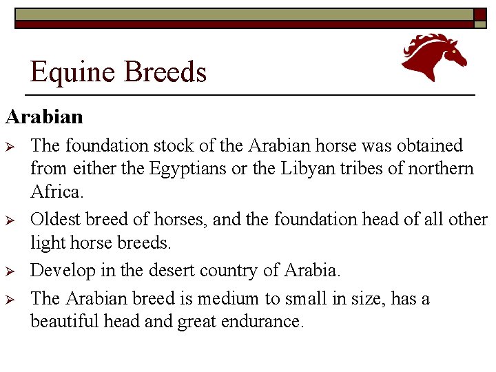 Equine Breeds Arabian Ø Ø The foundation stock of the Arabian horse was obtained