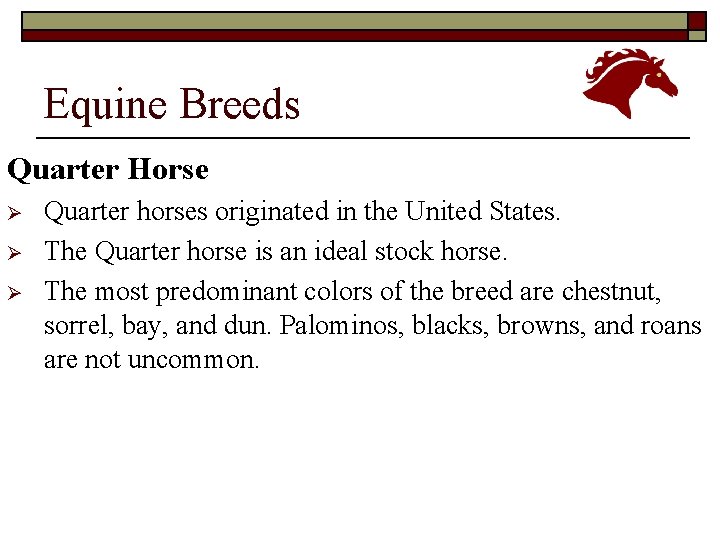 Equine Breeds Quarter Horse Ø Ø Ø Quarter horses originated in the United States.
