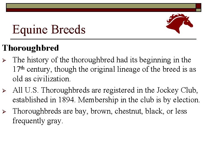 Equine Breeds Thoroughbred Ø Ø Ø The history of the thoroughbred had its beginning