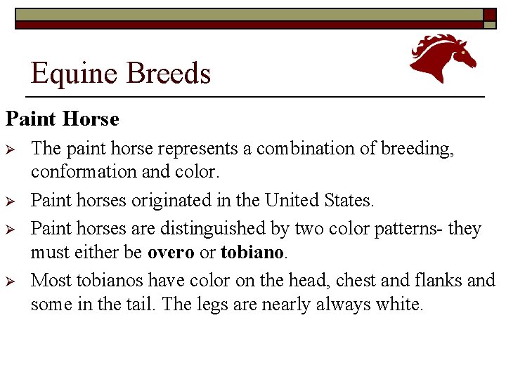 Equine Breeds Paint Horse Ø Ø The paint horse represents a combination of breeding,