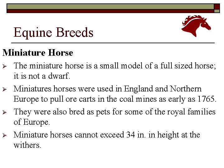 Equine Breeds Miniature Horse Ø Ø The miniature horse is a small model of