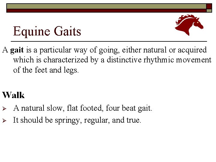 Equine Gaits A gait is a particular way of going, either natural or acquired