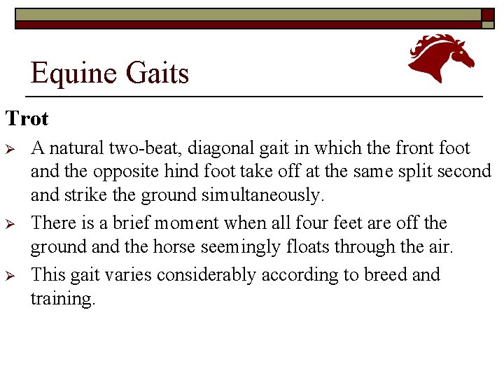 Equine Gaits Trot Ø Ø Ø A natural two-beat, diagonal gait in which the