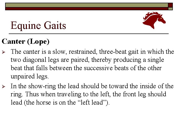 Equine Gaits Canter (Lope) Ø Ø The canter is a slow, restrained, three-beat gait