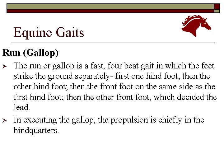 Equine Gaits Run (Gallop) Ø Ø The run or gallop is a fast, four