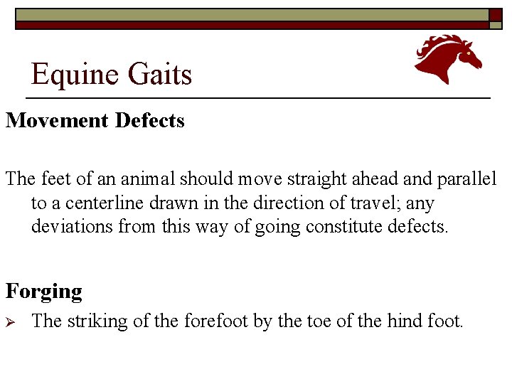 Equine Gaits Movement Defects The feet of an animal should move straight ahead and