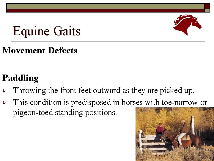 Equine Gaits Movement Defects Paddling Ø Ø Throwing the front feet outward as they