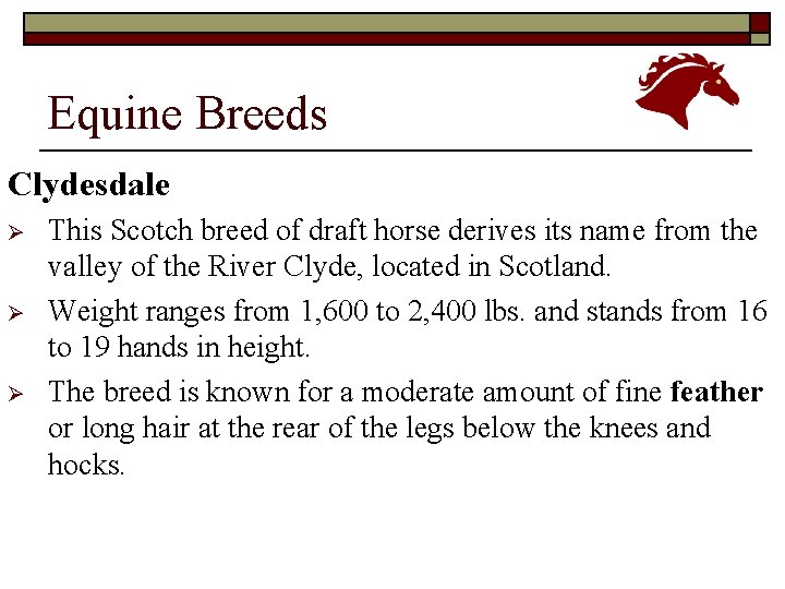 Equine Breeds Clydesdale Ø Ø Ø This Scotch breed of draft horse derives its