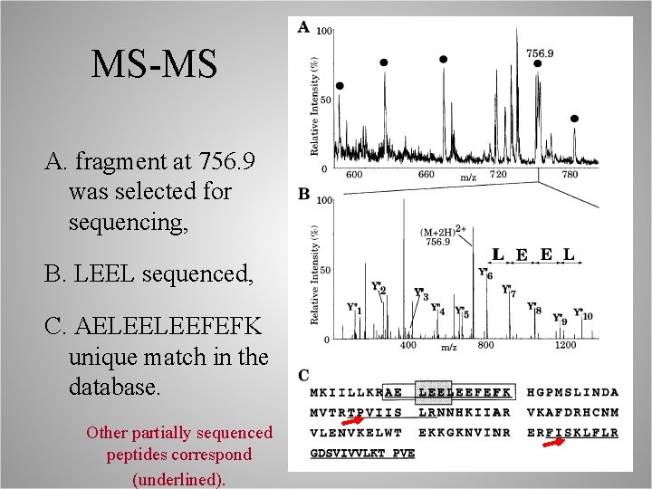 MS-MS A. fragment at 756. 9 was selected for sequencing, B. LEEL sequenced, C.