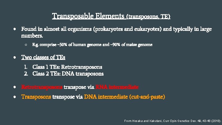 Transposable Elements (transposons, TE) ● Found in almost all organisms (prokaryotes and eukaryotes) and