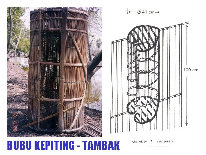 BUBU KEPITING - TAMBAK 