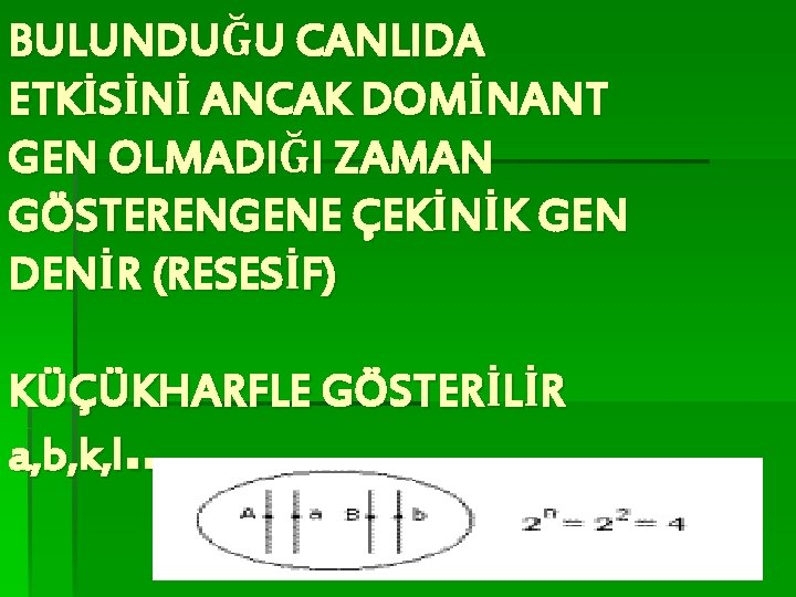 BULUNDUĞU CANLIDA ETKİSİNİ ANCAK DOMİNANT GEN OLMADIĞI ZAMAN GÖSTERENGENE ÇEKİNİK GEN DENİR (RESESİF) KÜÇÜKHARFLE