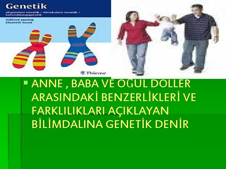 § ANNE , BABA VE OĞUL DÖLLER ARASINDAKİ BENZERLİKLERİ VE FARKLILIKLARI AÇIKLAYAN BİLİMDALINA GENETİK