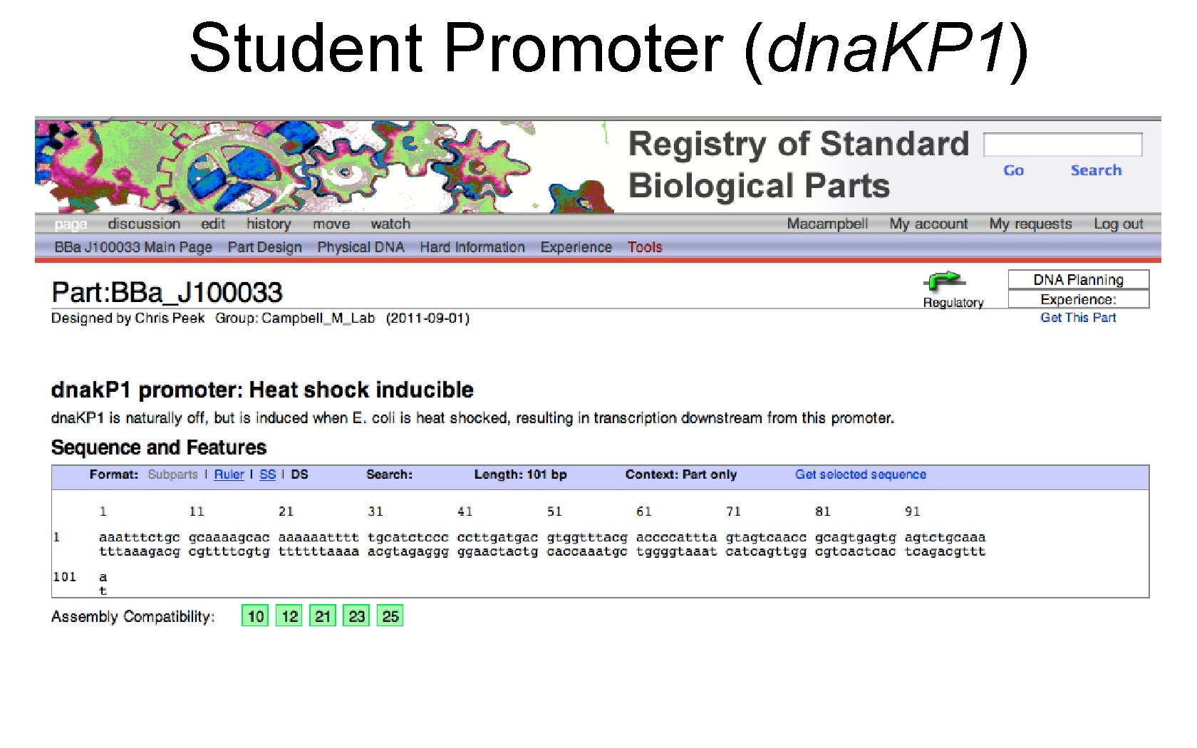 Student Promoter (dna. KP 1) 