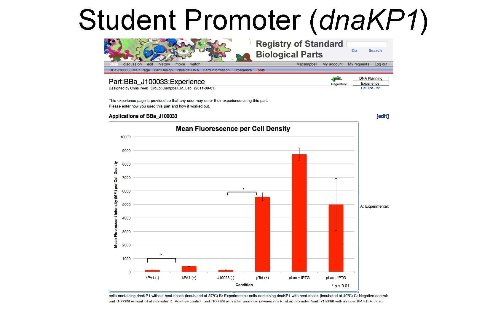 Student Promoter (dna. KP 1) 