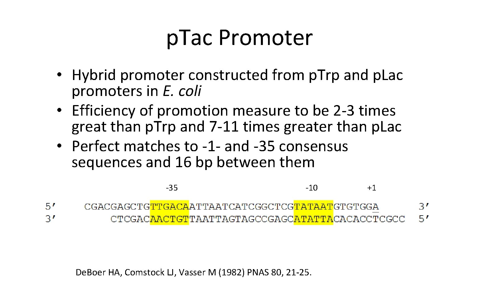 p. Tac Promoter • Hybrid promoter constructed from p. Trp and p. Lac promoters