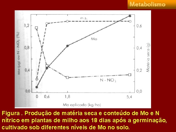 Metabolismo Figura. Produção de matéria seca e conteúdo de Mo e N nítrico em