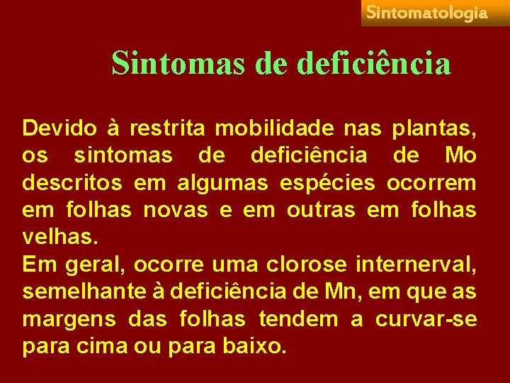 Sintomatologia Sintomas de deficiência Devido à restrita mobilidade nas plantas, os sintomas de deficiência