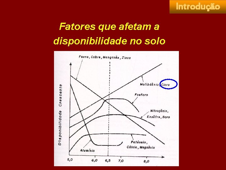 Introdução Fatores que afetam a disponibilidade no solo 
