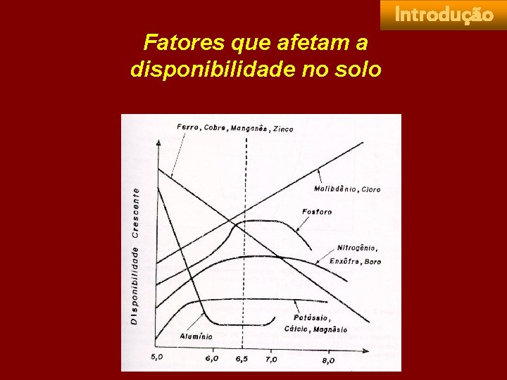 Introdução Fatores que afetam a disponibilidade no solo 