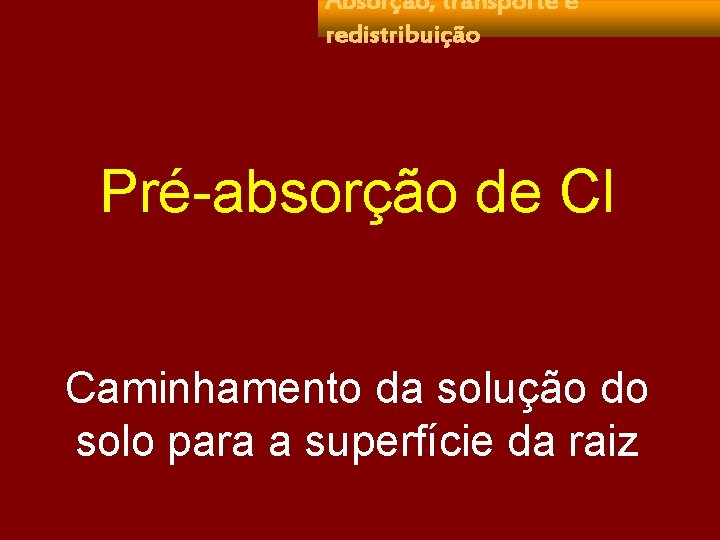 Absorção, transporte e redistribuição Pré-absorção de Cl Caminhamento da solução do solo para a