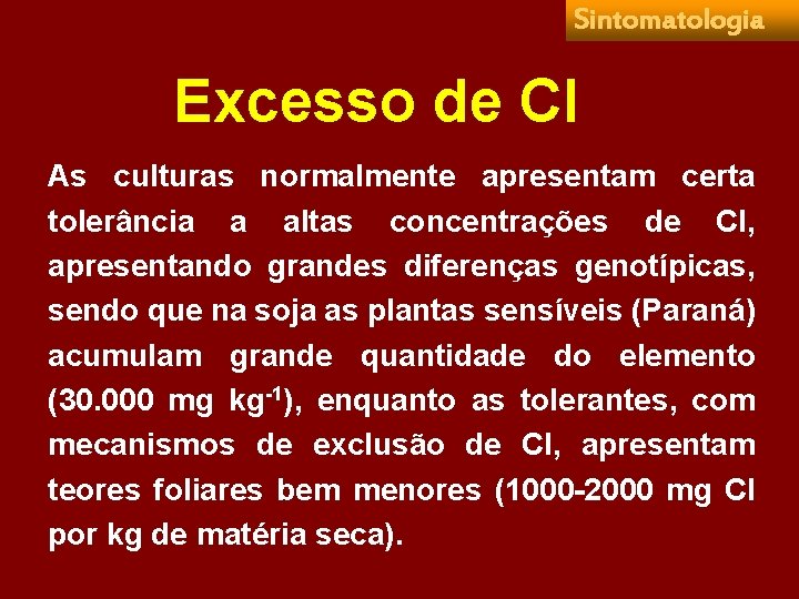 Sintomatologia Excesso de Cl As culturas normalmente apresentam certa tolerância a altas concentrações de