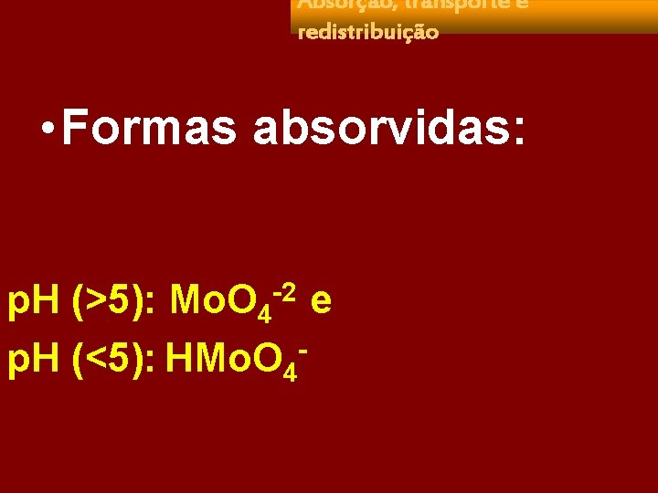 Absorção, transporte e redistribuição • Formas absorvidas: p. H (>5): Mo. O 4 -2
