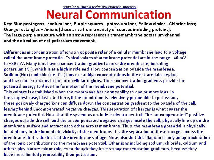 http: //en. wikipedia. org/wiki/Membrane_potential Neural Communication Key: Blue pentagons - sodium ions; Purple squares