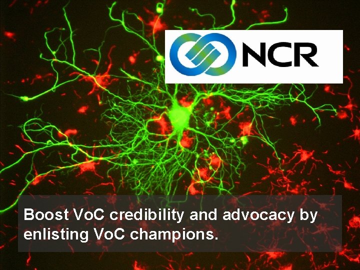 Boost Vo. C credibility and advocacy by enlisting Vo. C champions. 