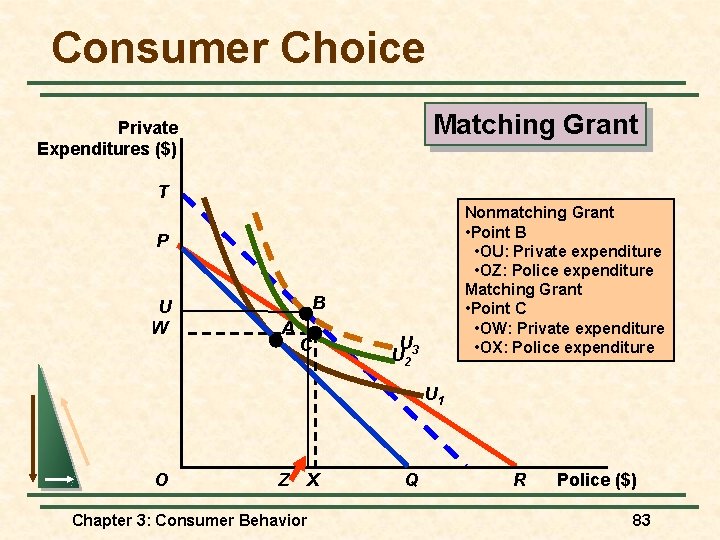 Consumer Choice Matching Grant Private Expenditures ($) T Nonmatching Grant • Point B • Consumer Choice Matching Grant Private Expenditures ($) T Nonmatching Grant • Point B •