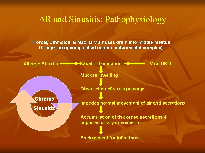 AR and Sinusitis: Pathophysiology Frontal, Ethmoidal & Maxillary sinuses drain into middle meatus through