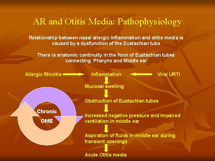 AR and Otitis Media: Pathophysiology Relationship between nasal allergic inflammation and otitis media is