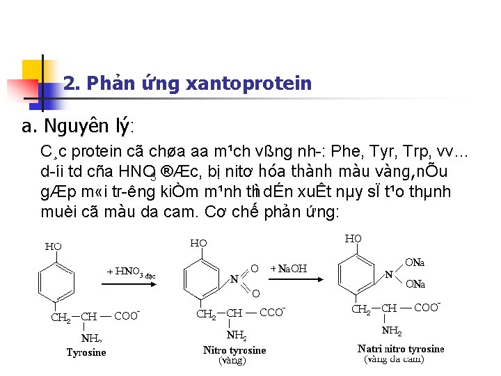 2. Phản ứng xantoprotein a. Nguyên lý: C¸c protein cã chøa aa m¹ch vßng