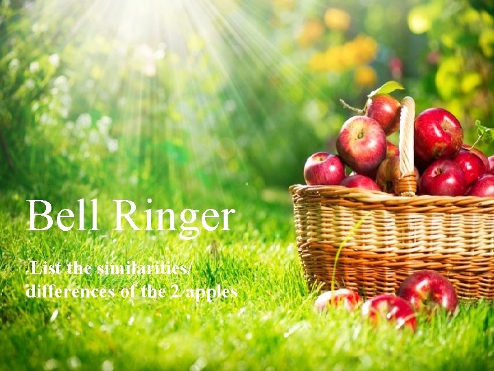 Bell Ringer -List the similarities/ differences of the 2 apples 