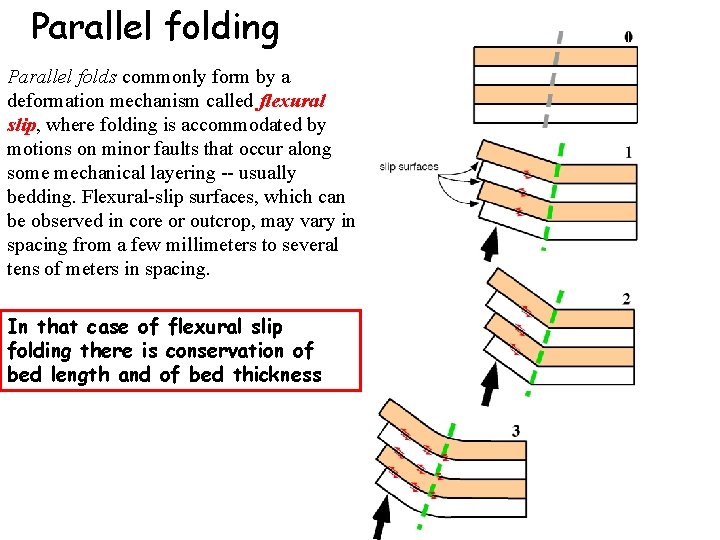 Parallel folding Parallel folds commonly form by a deformation mechanism called flexural slip, where