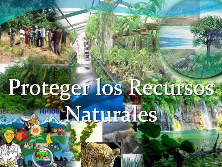 Proteger los Recursos Naturales 