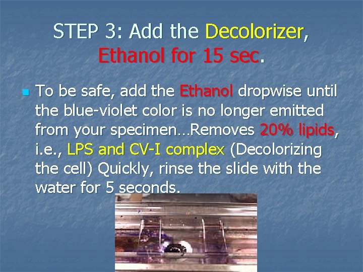 STEP 3: Add the Decolorizer, Ethanol for 15 sec. n To be safe, add STEP 3: Add the Decolorizer, Ethanol for 15 sec. n To be safe, add