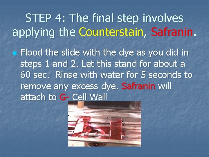 STEP 4: The final step involves applying the Counterstain, Safranin. n Flood the slide