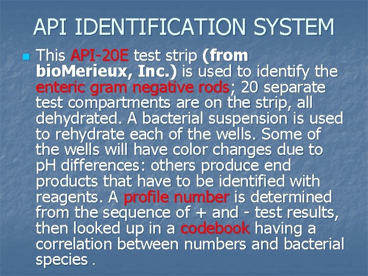 API IDENTIFICATION SYSTEM n This API-20 E test strip (from bio. Merieux, Inc. ) API IDENTIFICATION SYSTEM n This API-20 E test strip (from bio. Merieux, Inc. )