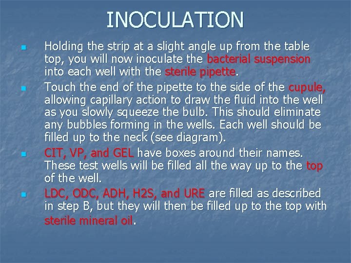 INOCULATION n n Holding the strip at a slight angle up from the table