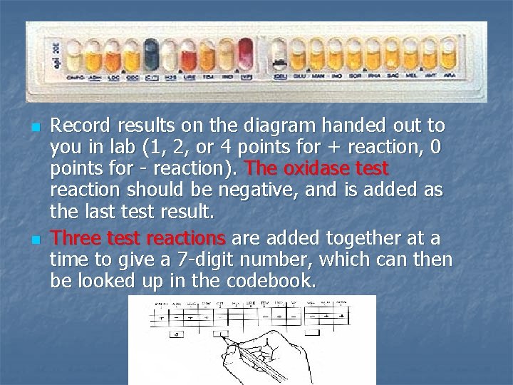 n n Record results on the diagram handed out to you in lab (1,