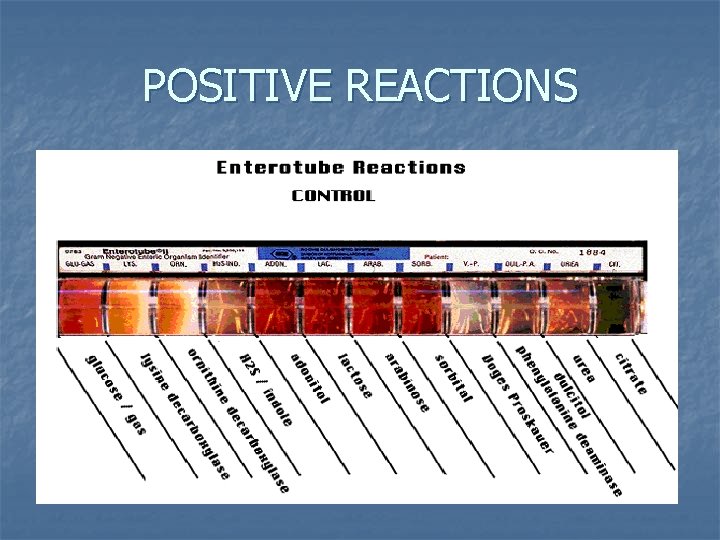 POSITIVE REACTIONS 