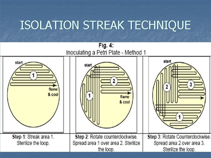 ISOLATION STREAK TECHNIQUE ISOLATION STREAK TECHNIQUE
