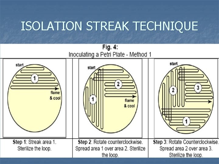 ISOLATION STREAK TECHNIQUE 